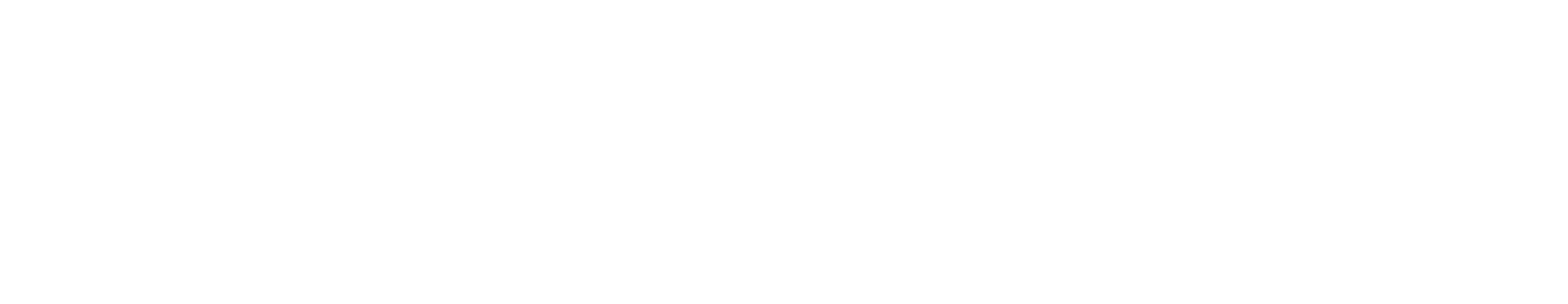 SetupForge